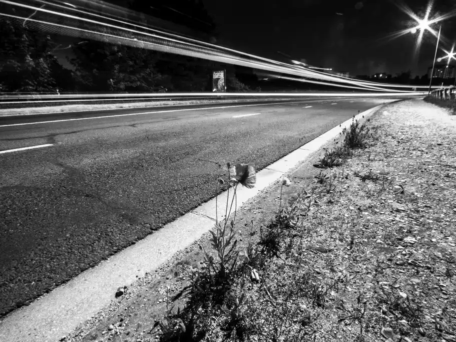 Zone Urbaine Photographique