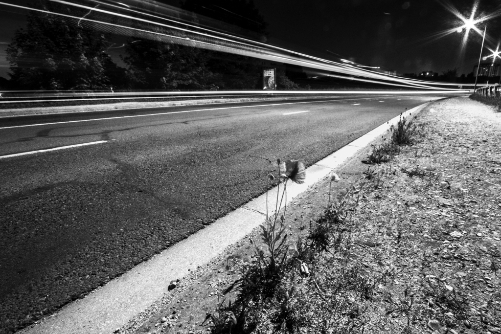 Zone Urbaine Photographique