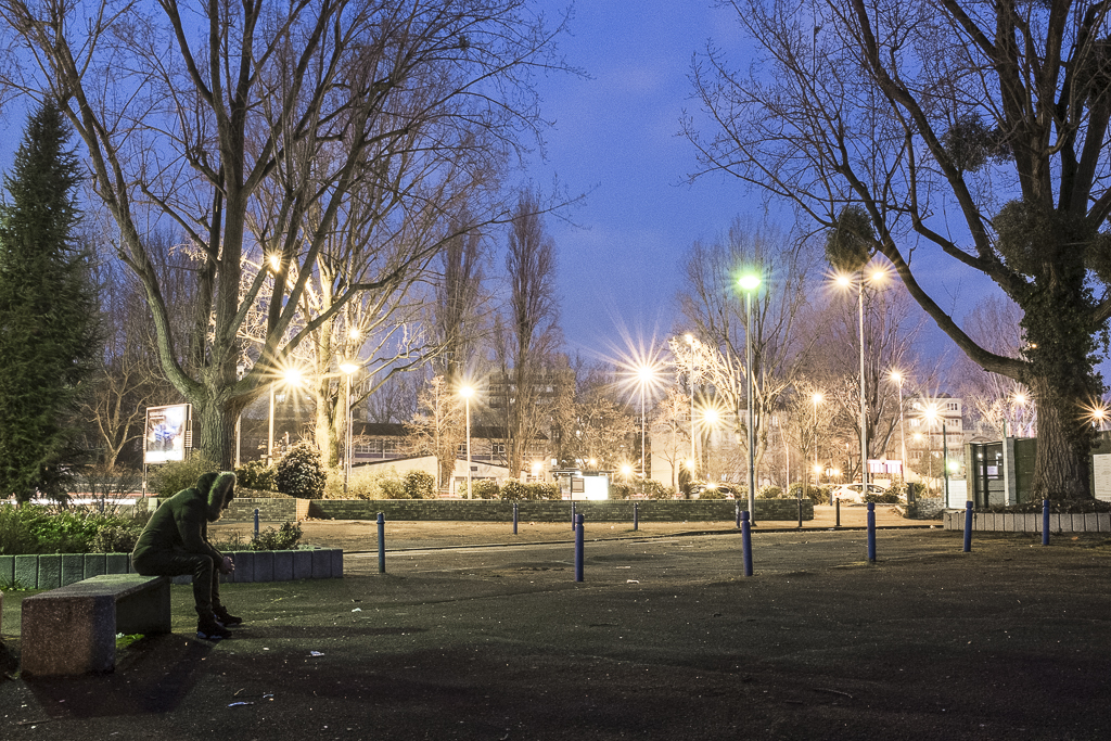 Lumières sous bois - Image 1