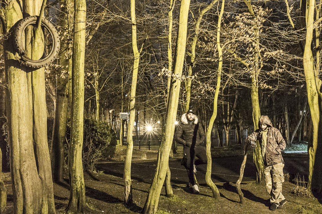 Lumières sous bois - Image 11