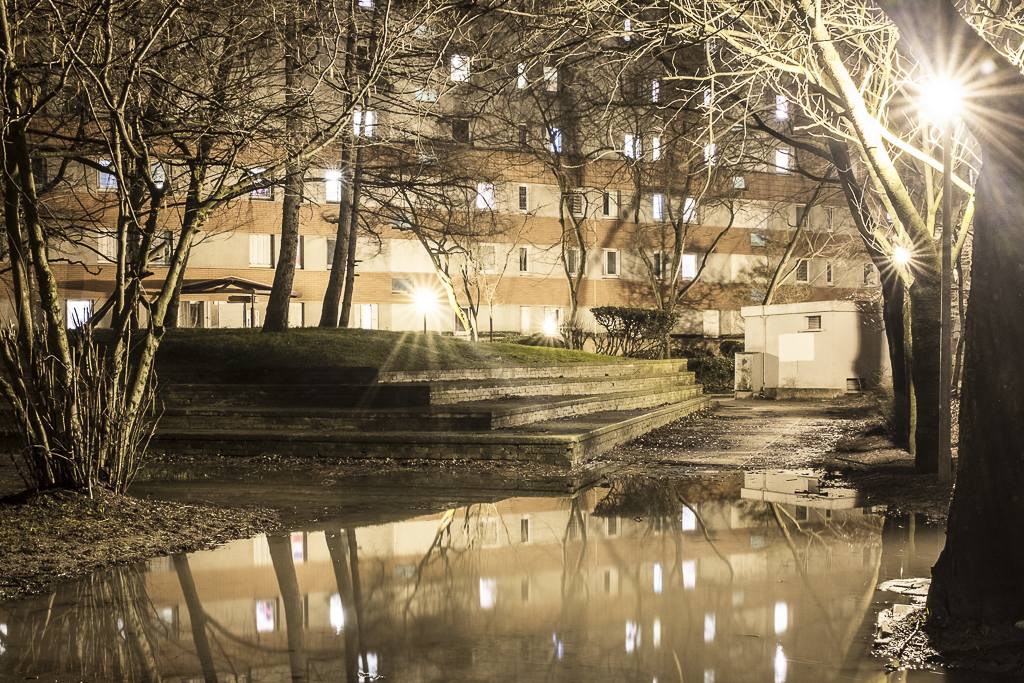 Lumières sous bois - Image 5