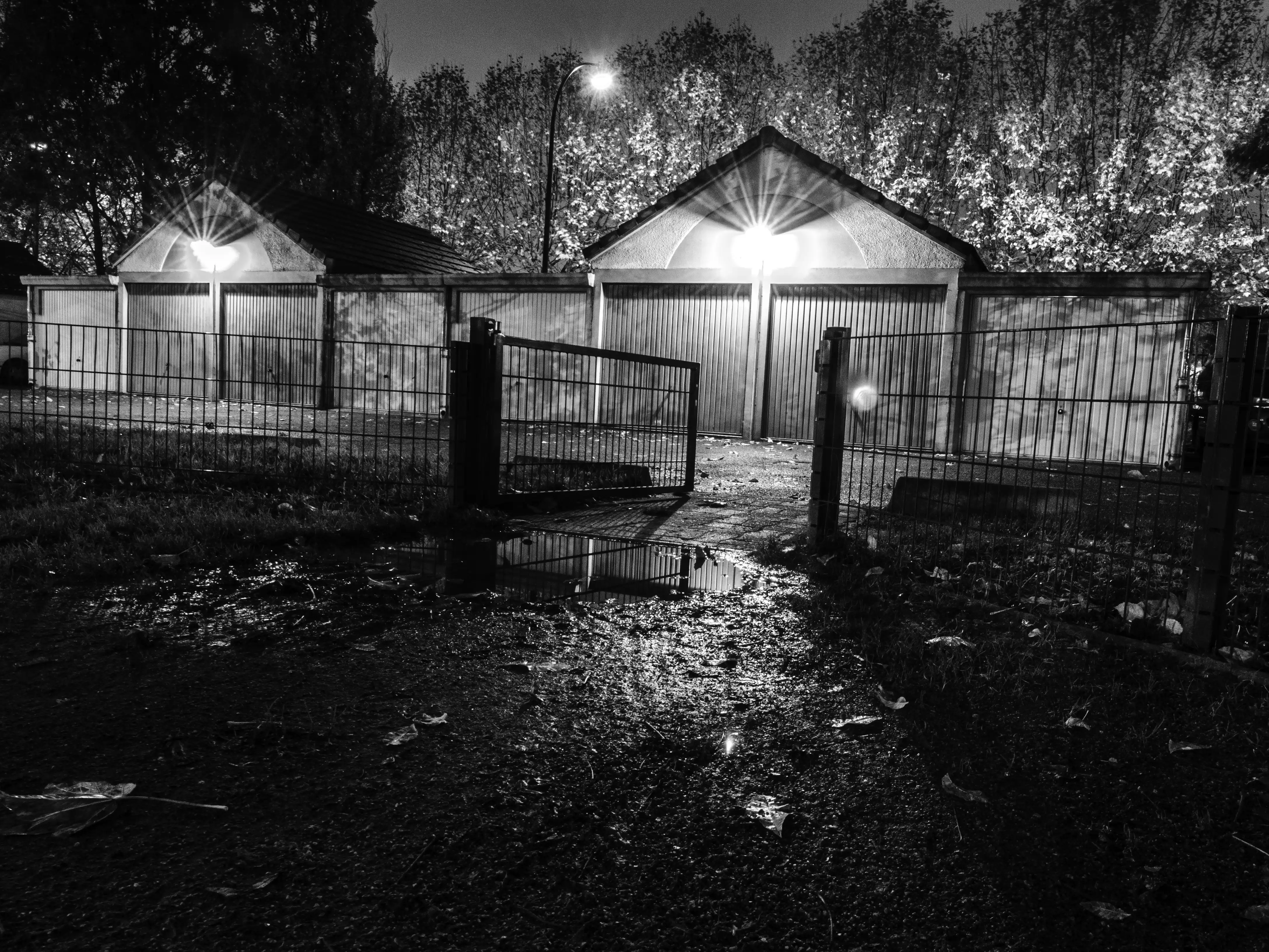 Les lampes veillent. Personne ne passe.