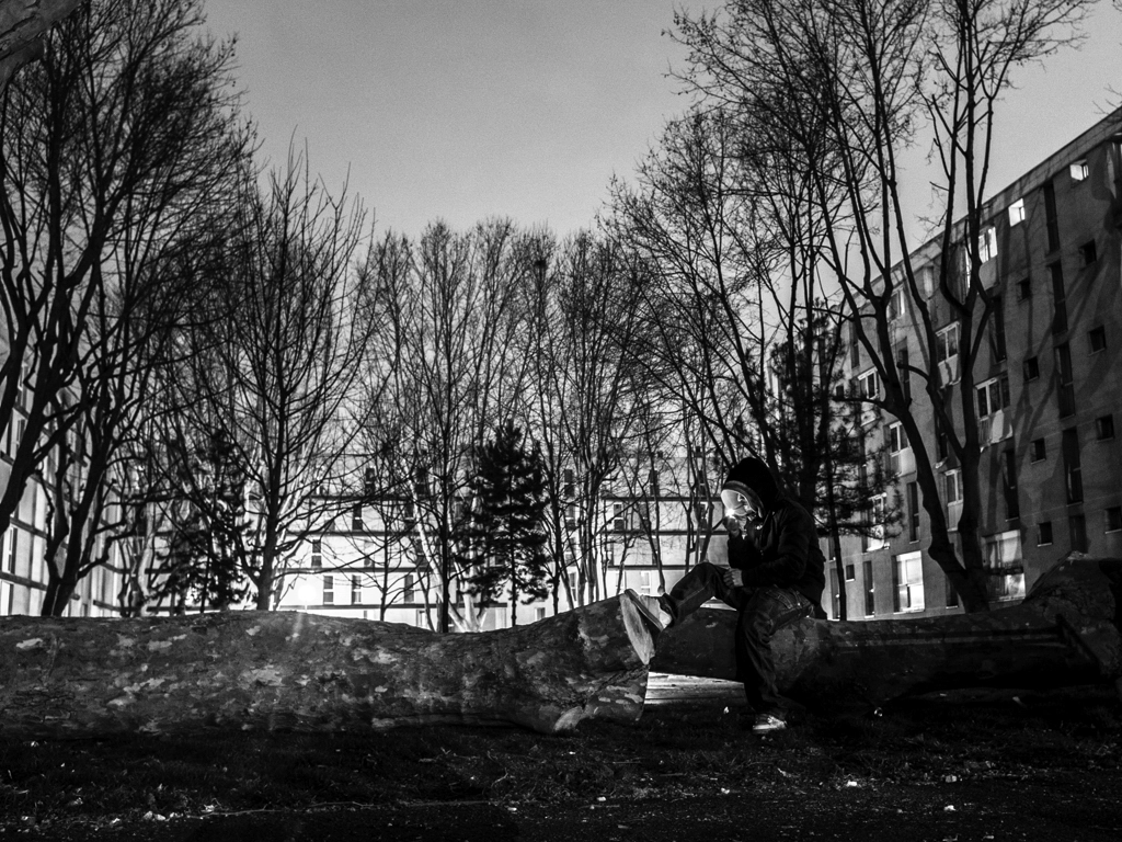Assis sur l'arbre couché. La cité tient encore debout.